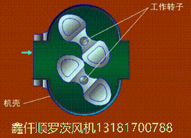三葉羅茨鼓風機工作原理gif動畫 三葉羅茨鼓風機工作原理gif動畫